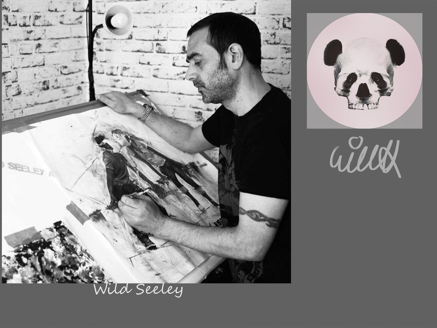 photo wild seeley