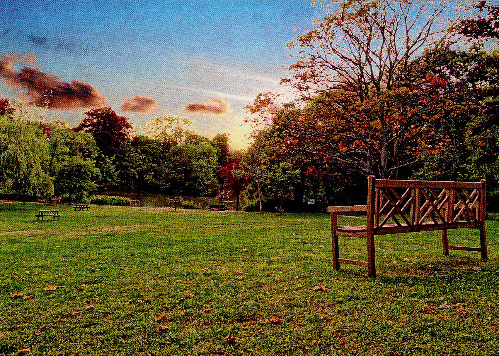 Owen de Visser – Moseley Park Bench