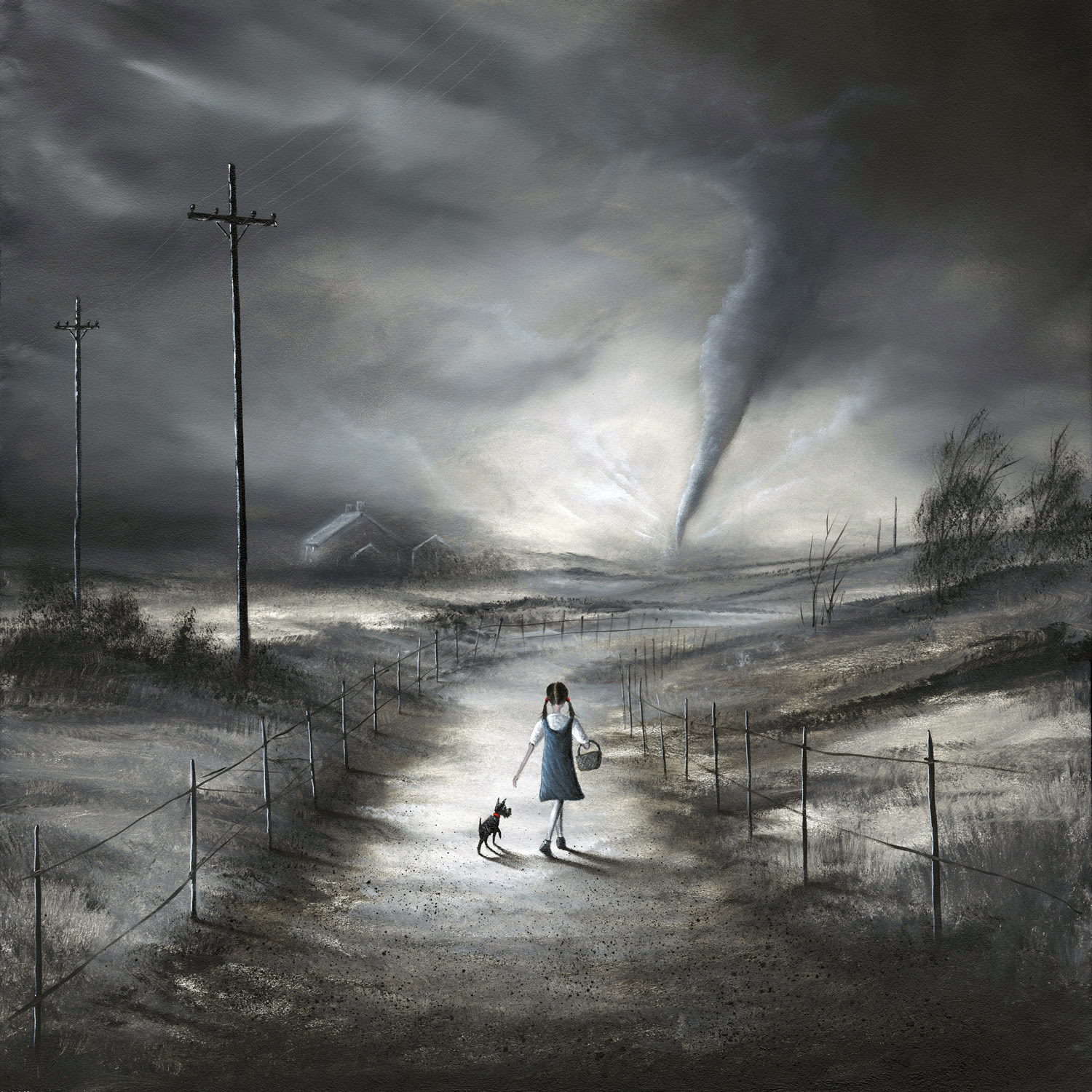 Danny Abrahams - Whirlwind to Oz 1