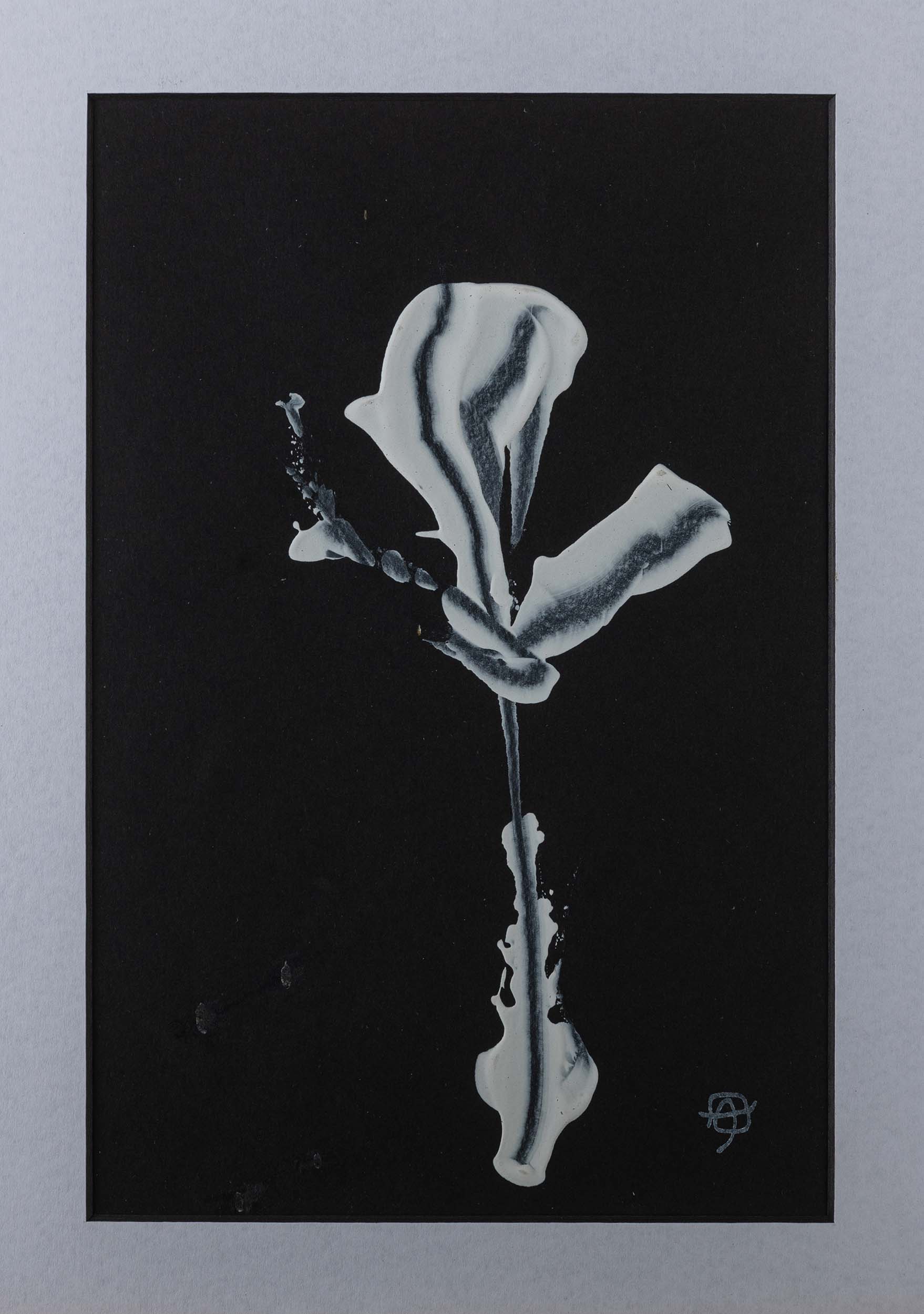 Andrew Harrison - White lily (ii) - Original Artwork