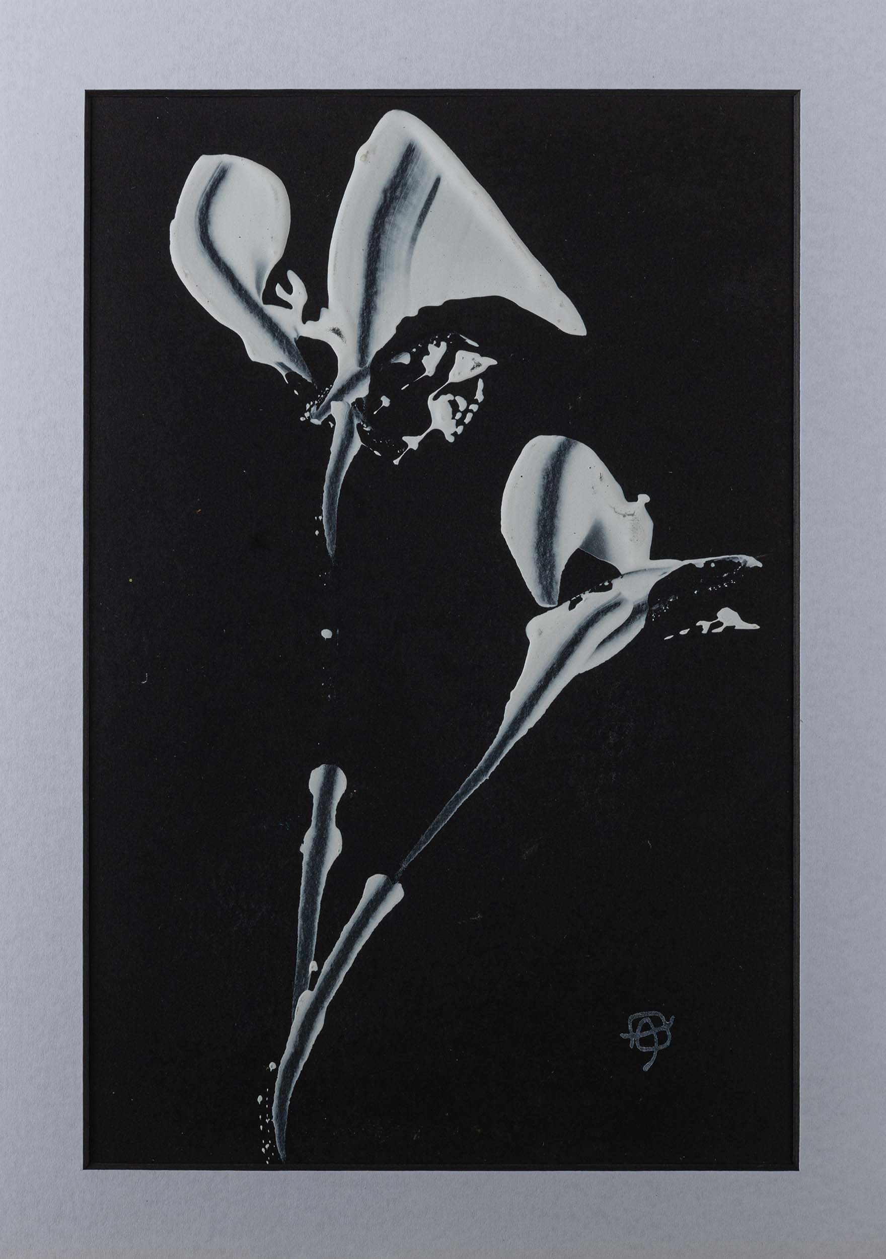 Andrew Harrison - White narcissi - Original Artwork